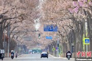 巢湖共建“花园城市” 北京这场议政会“百花齐放”