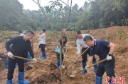 巢湖广州已打造首批32处“绿美宗教活动场所”