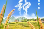 巢湖芒种节气小知识来了 夏种作物都有什么？