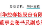 巢湖华控赛格董事长、董秘、副总经理三高管同日辞职